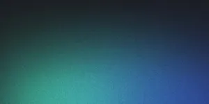 Marketplace vs API Integration - Related article image